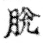 Đã định vị 脫