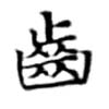 已定位齒