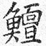 鱣 위치 확인됨