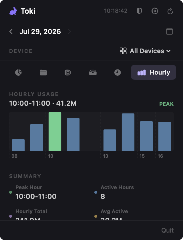 Hourly tab with usage chart and peak-hour summary