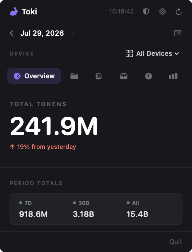 Overview tab showing total tokens and seven-day, thirty-day, and all-time totals