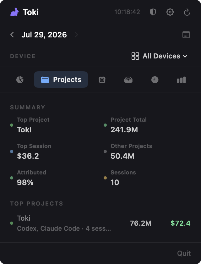 Projects tab showing attribution summary and top project usage
