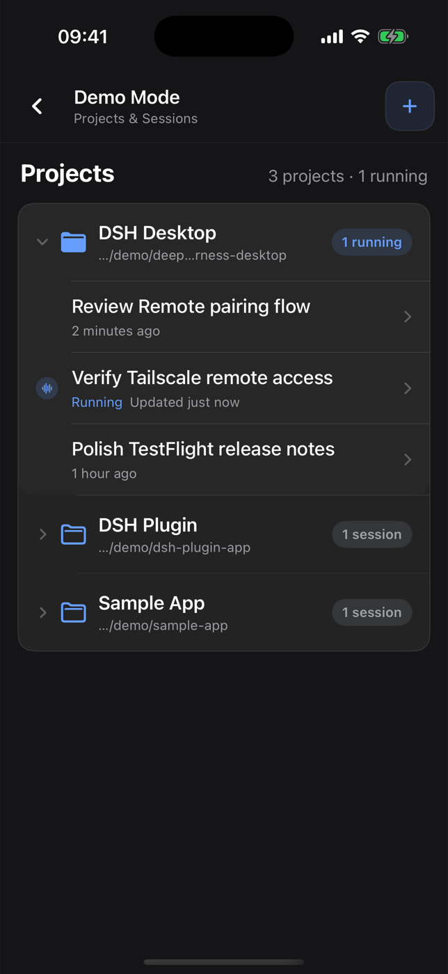 DSH Remote projects and running sessions in English