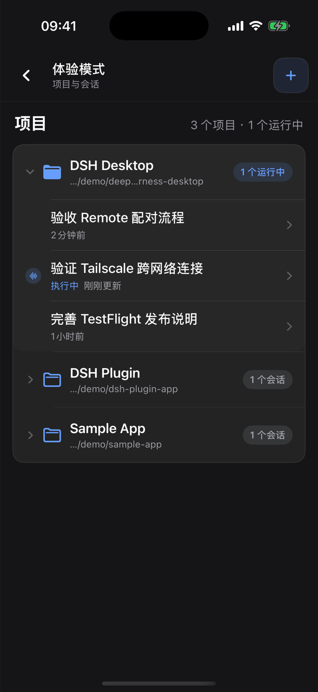 DSH Remote 中文项目与运行会话界面