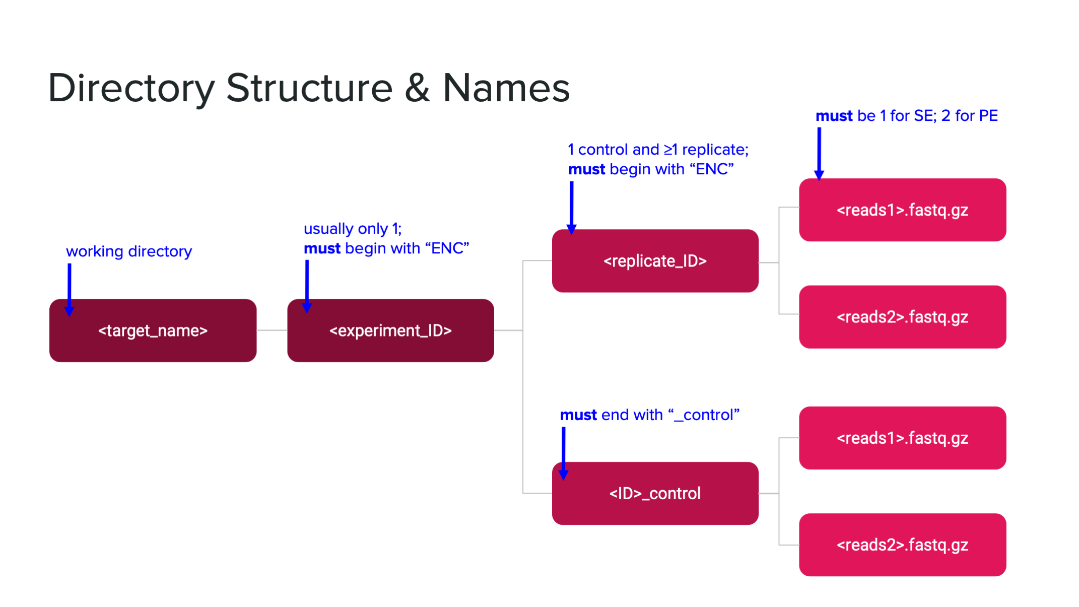 Directory structure