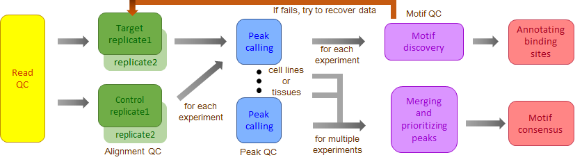 Flowchart