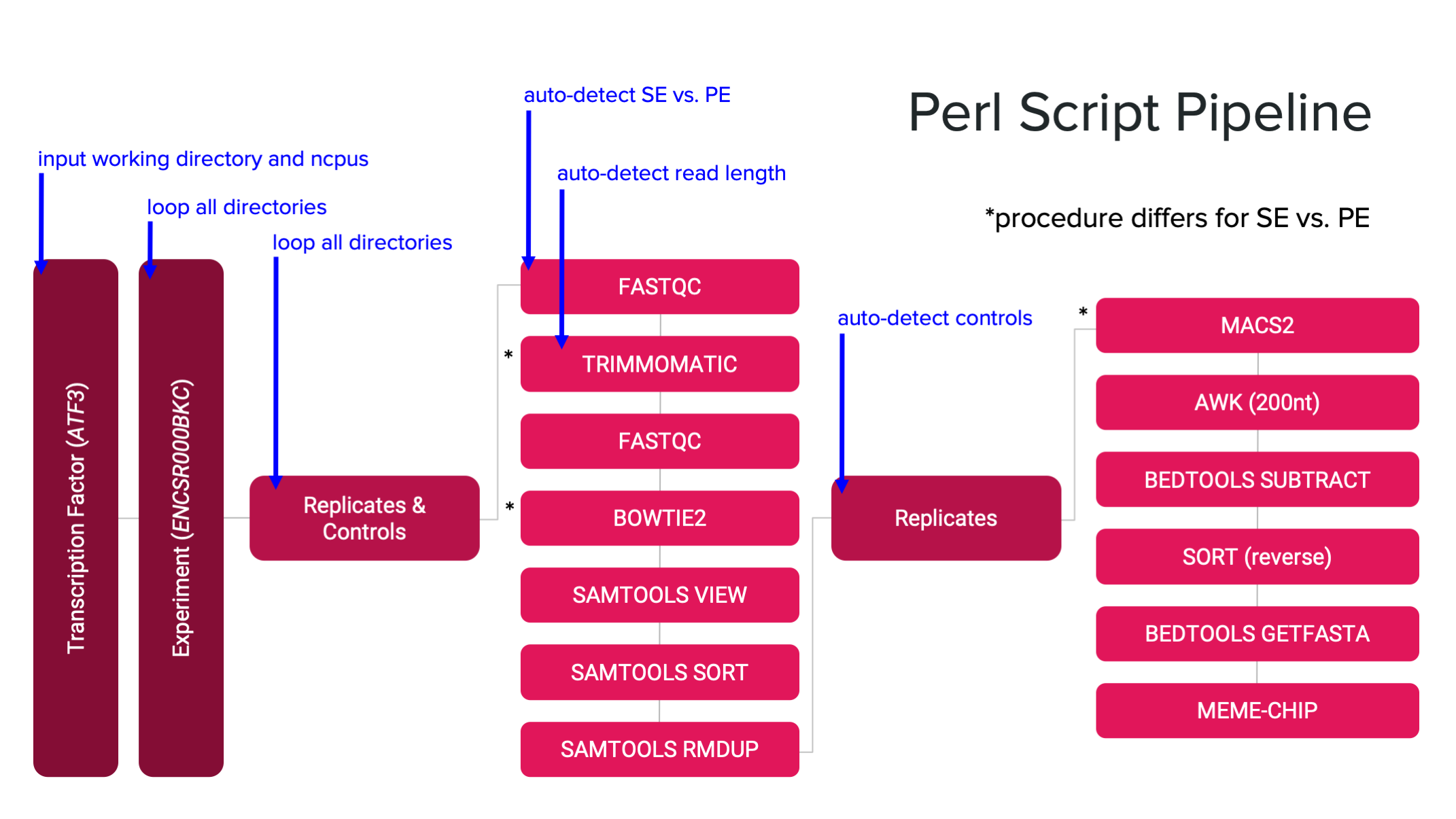 Perl pipeline