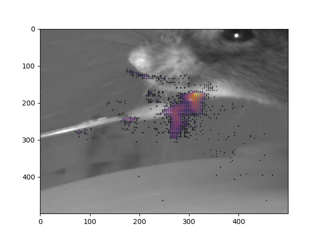 Tongue position feature extraction