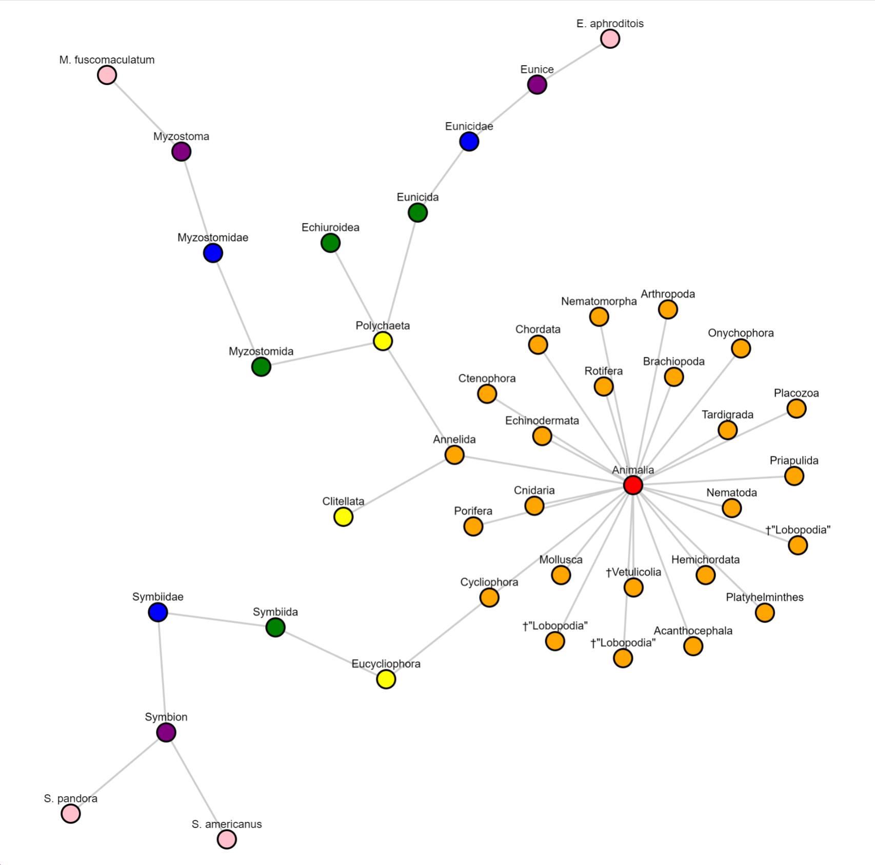 Sample visualisation of the animal kingdom graph.