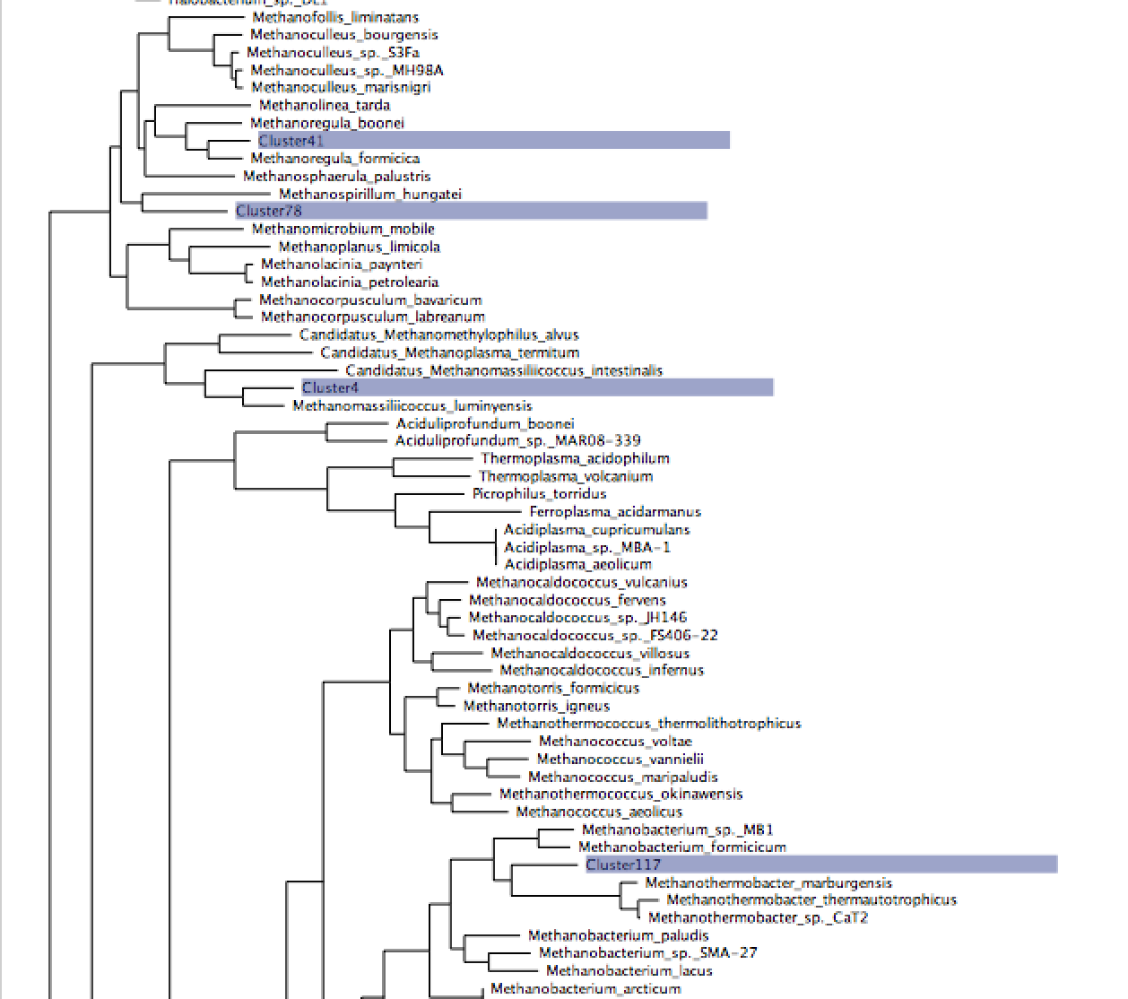 Methanogen tree