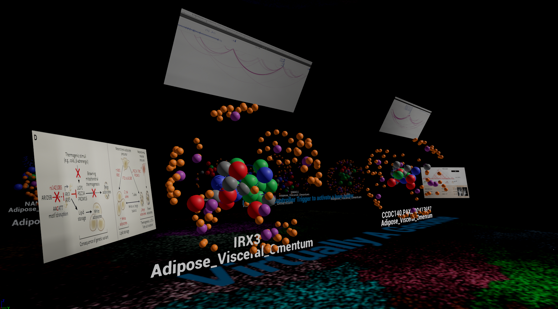 Screenshot of the Virtually A Genome starting area