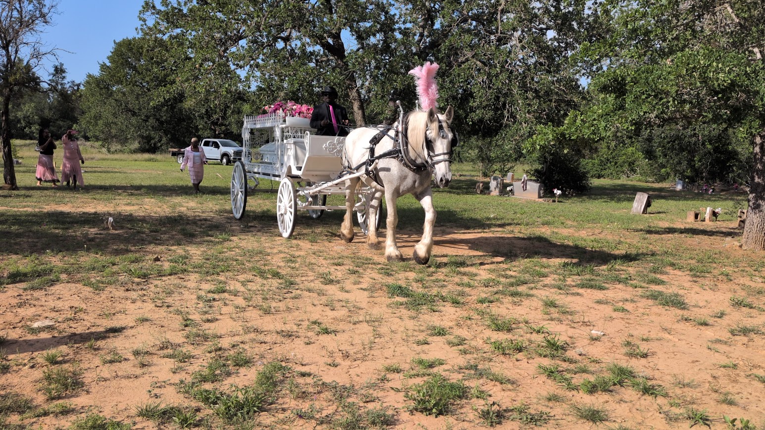 Horse-drawn hearse tribute for Marie Washington Brown — Dale Texas — Texas Funeral Carriage