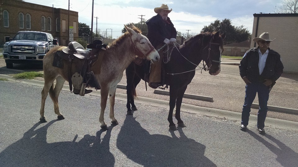 Sister Sarah the donkey serves as the riderless horse at a cowboy funeral in Falfurrias Texas