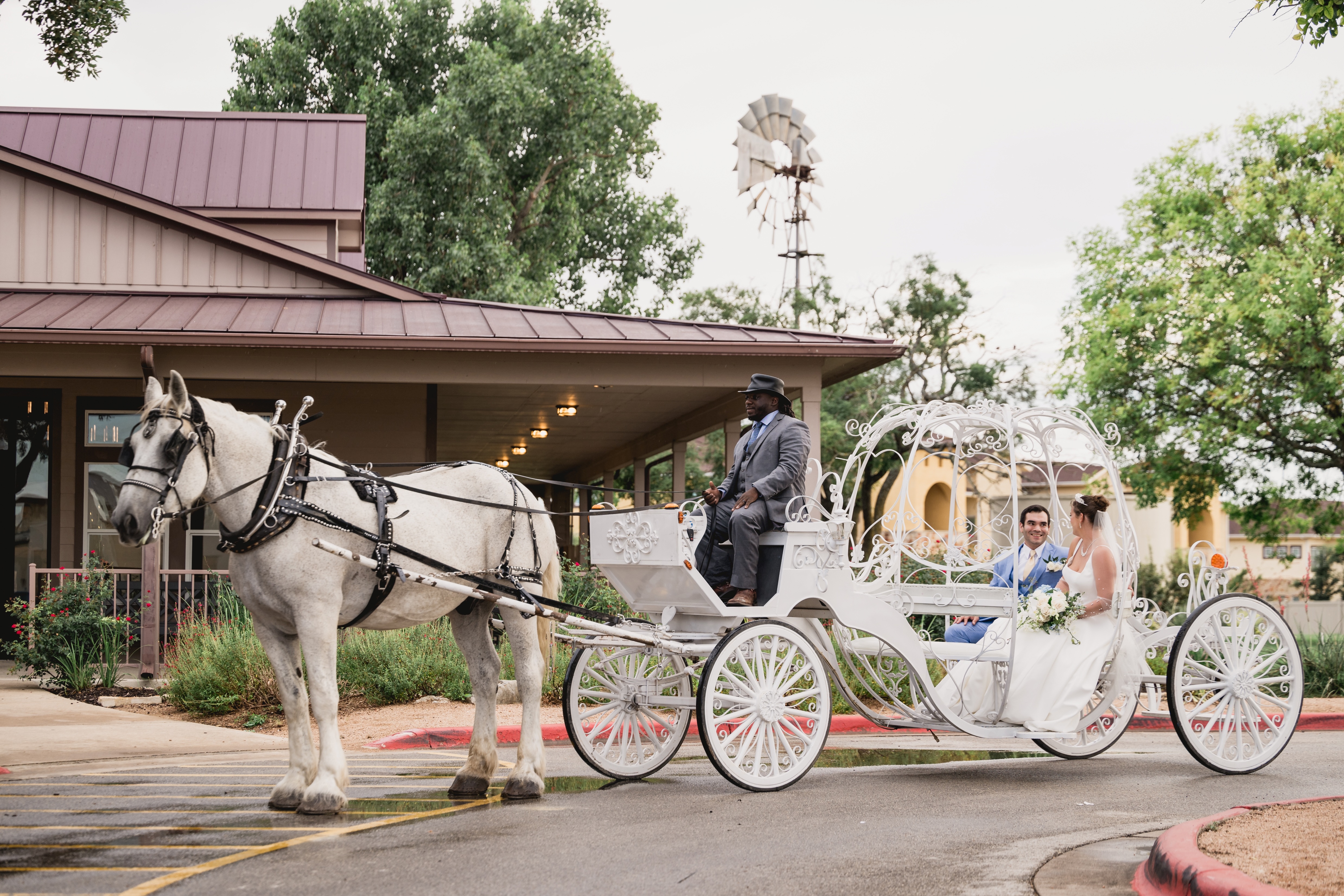 White Horse and Carriage Company - Business Photo