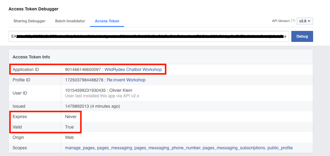 Facebook Page Access Token Debugger