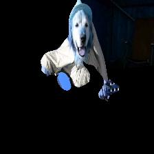 Image of dog playing guitar, only showing dog