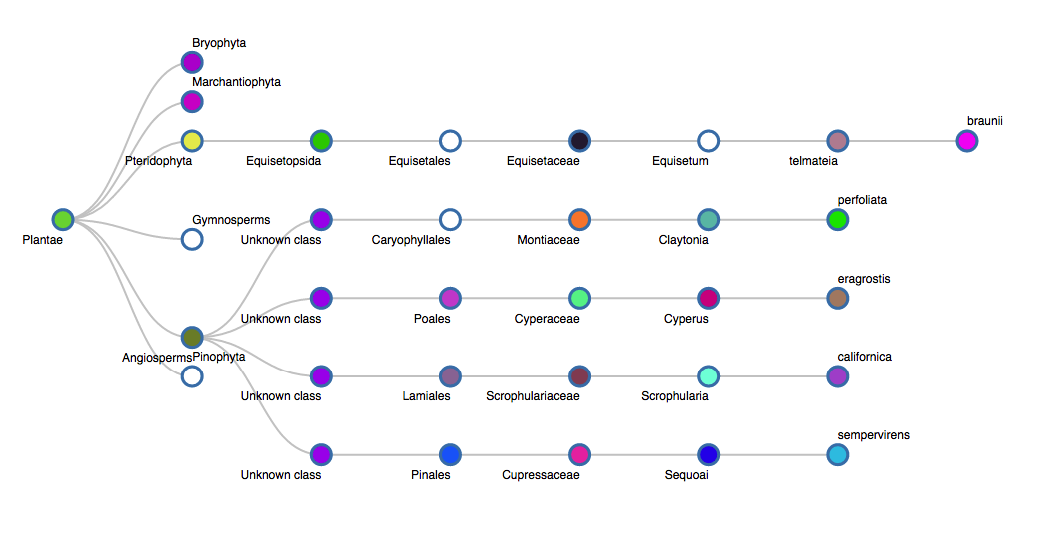 Tree example screenshot