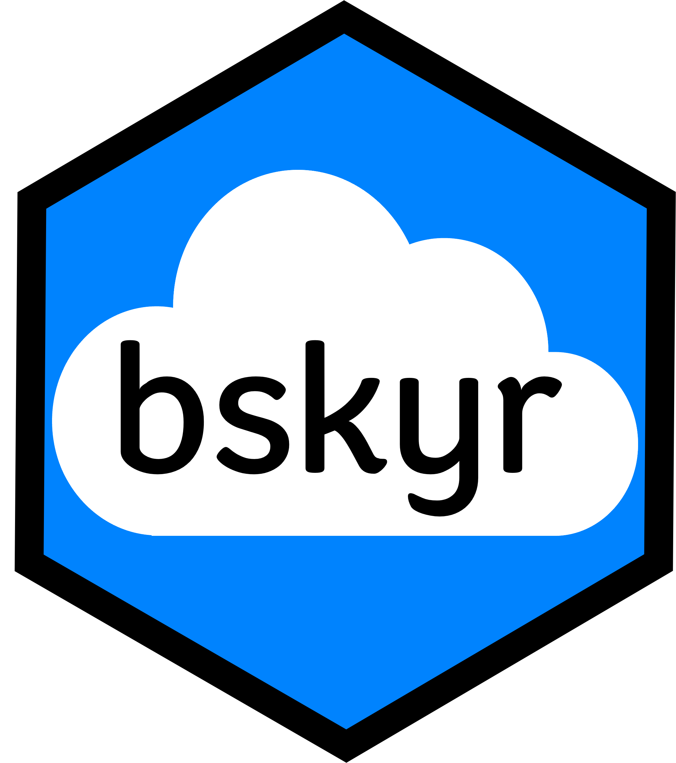 bskyr hex logo