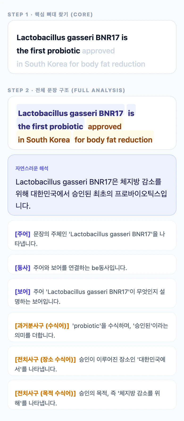 BNR17 단계별 심층 해석 이미지