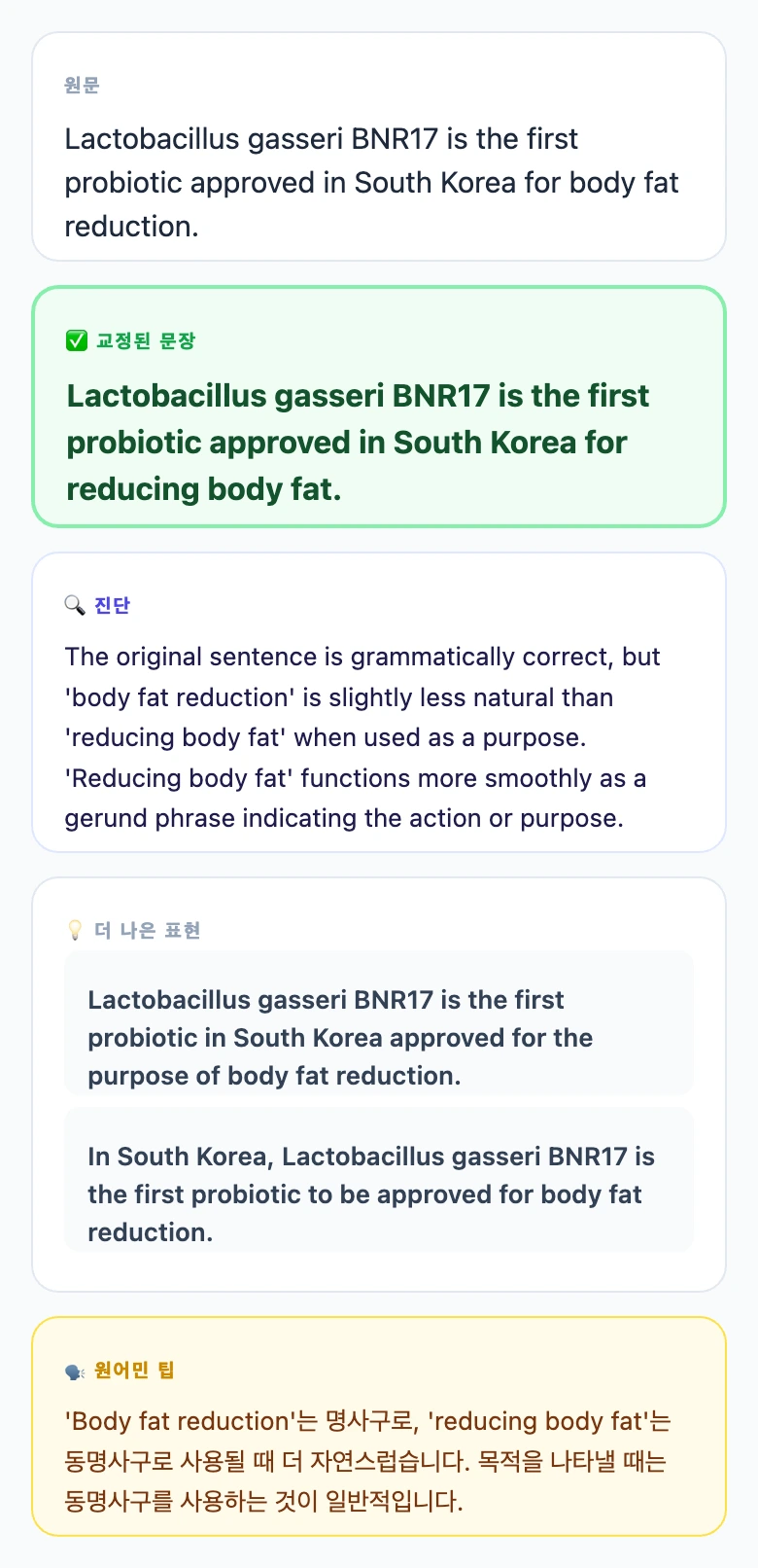 BNR17 문법 처방전 이미지