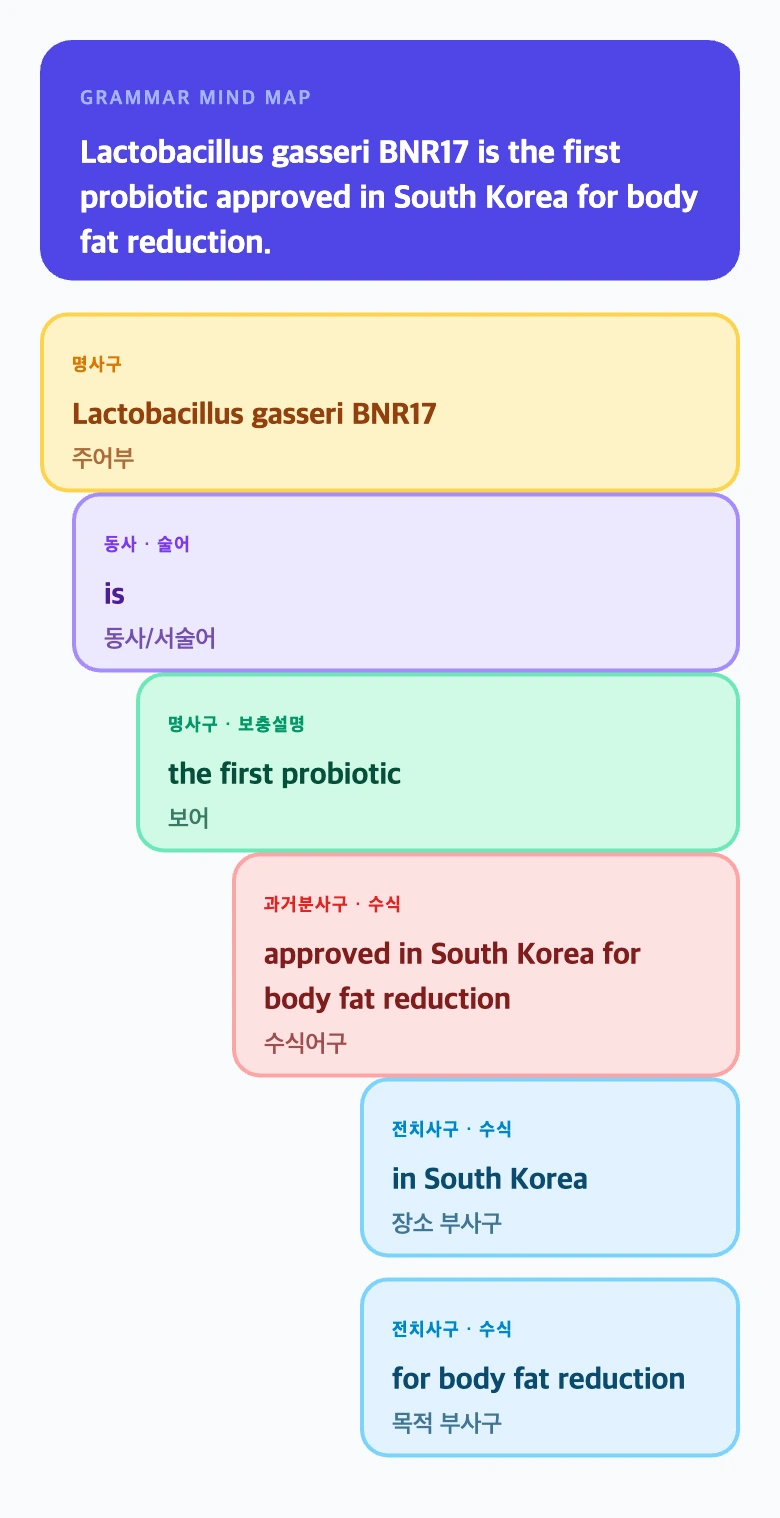 BNR17 최종 문법 트리 이미지