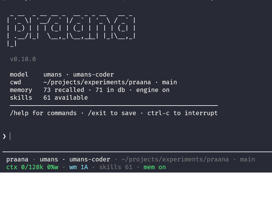 PRAANA terminal — adaptive context and cognitive memory