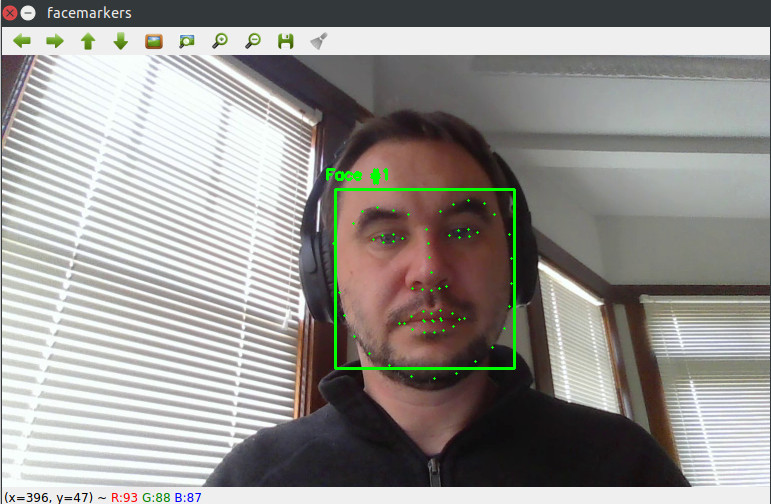 facial landmarks