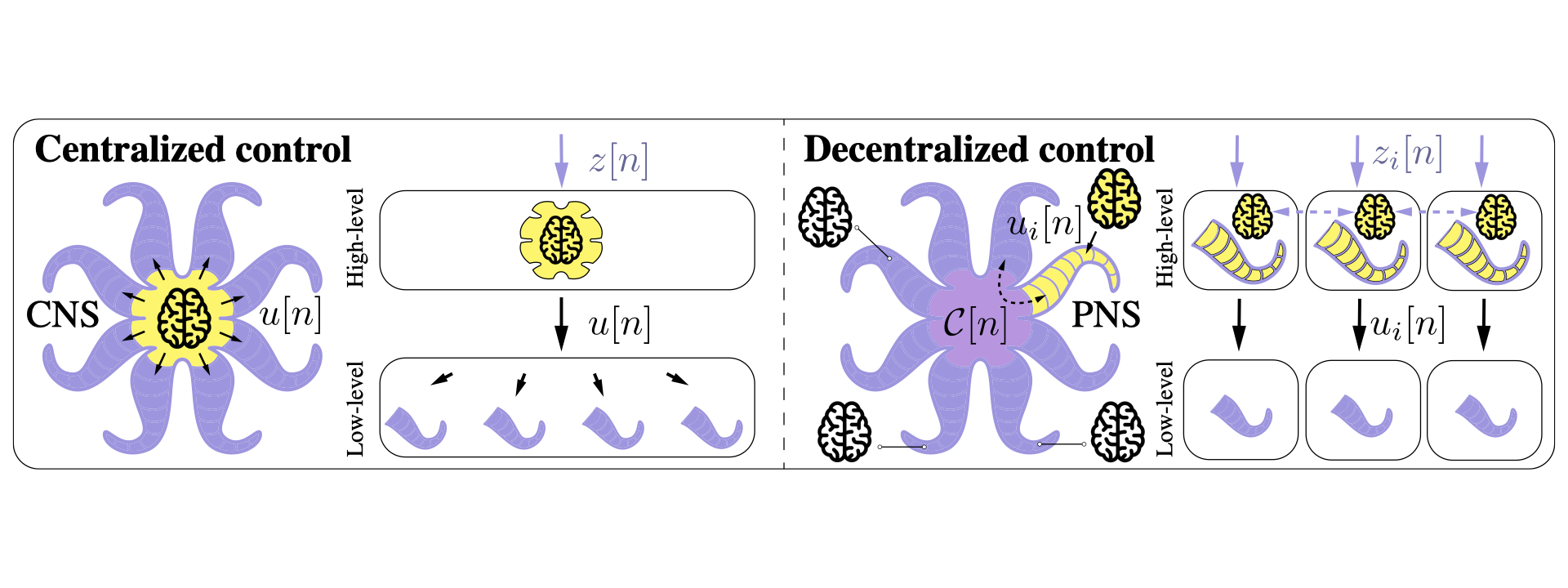 centralized-decentralized.jpeg