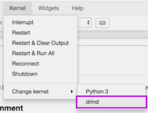 Jupyter Notebook Kernel