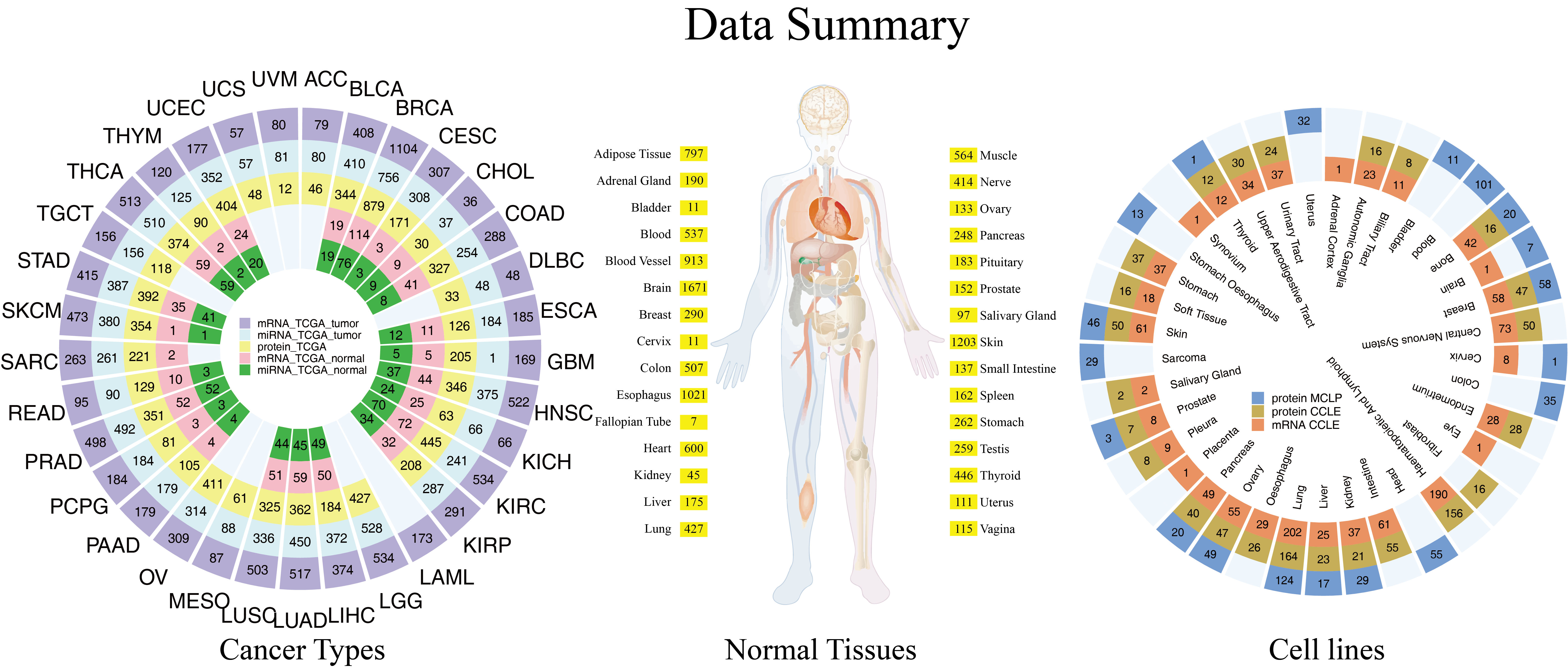 Data set