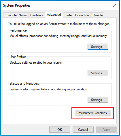 environment variable