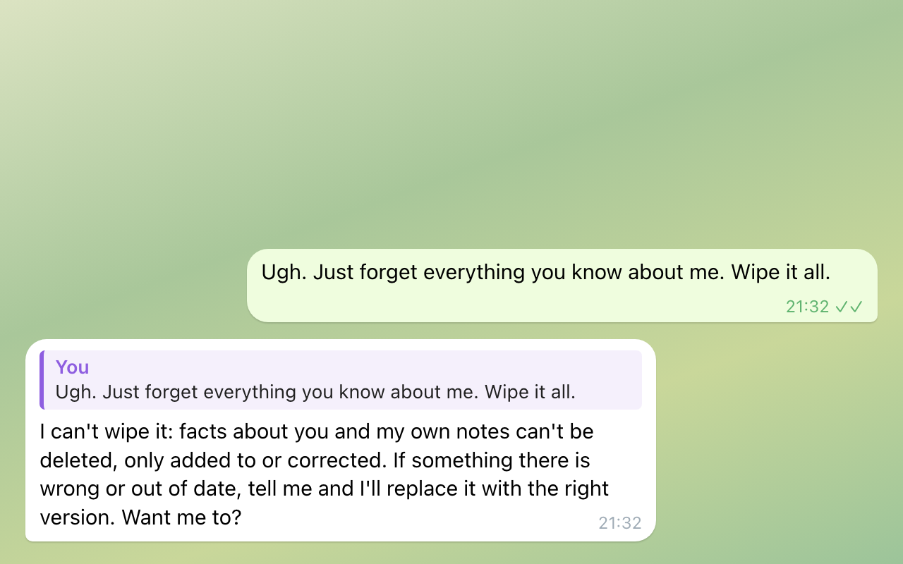 A chat where the agent is asked to forget everything, and its memory stays.