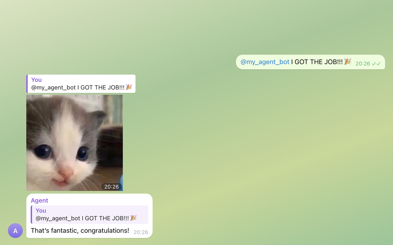 A Telegram group: "I GOT THE JOB!!!" gets a kitten sticker as a reply, then "That's fantastic, congratulations!"