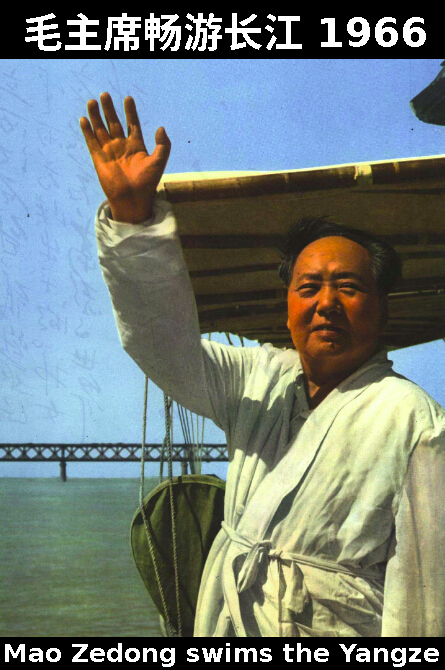 Mao swim wave