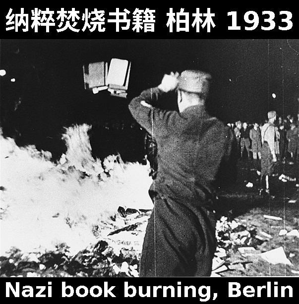 Nazi book burning