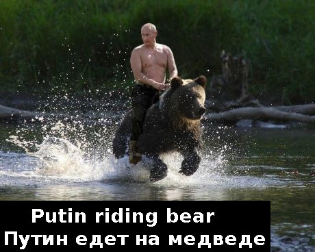 Putin bear