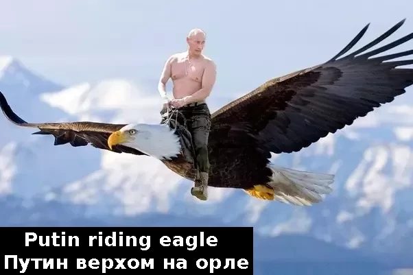 Putin eagle