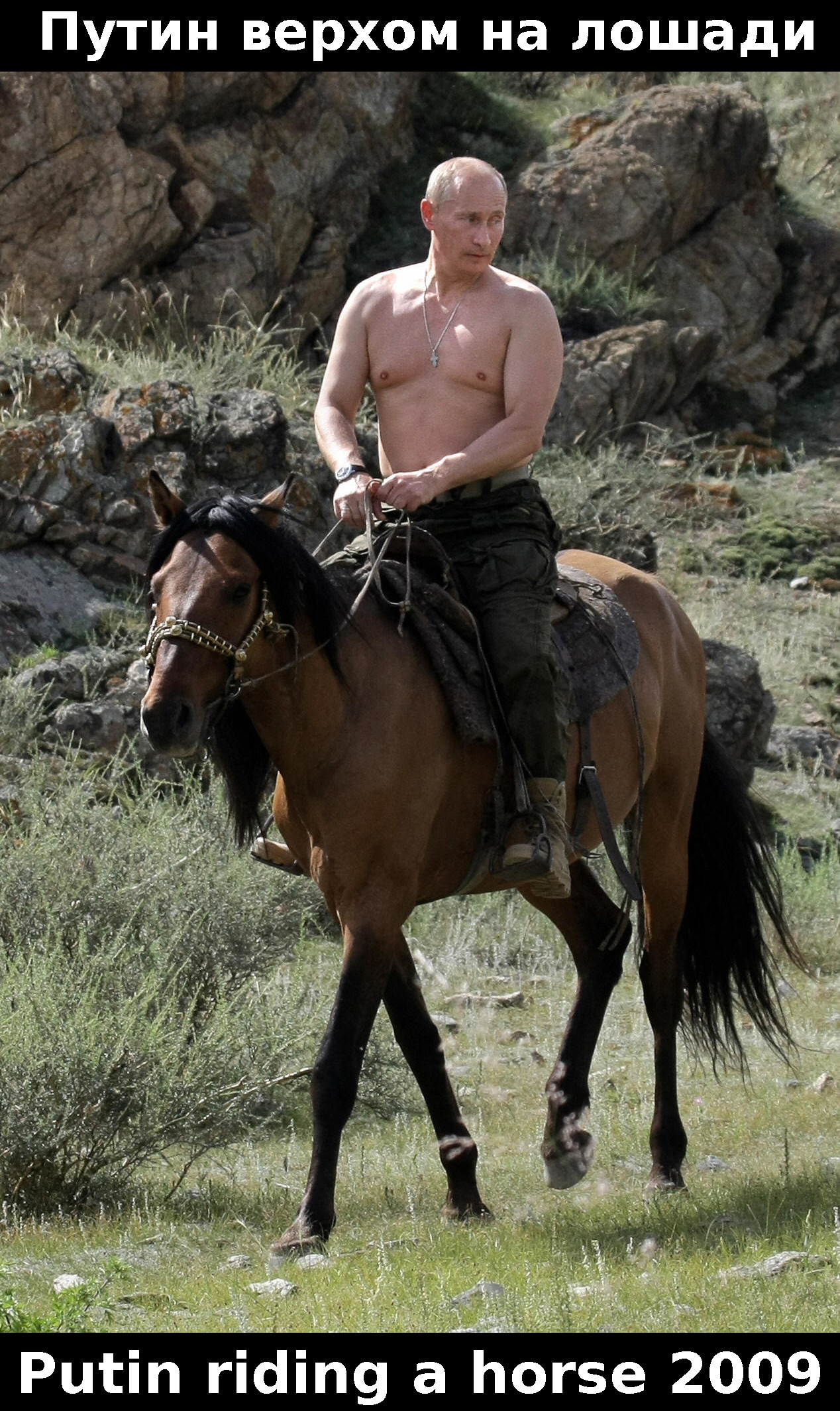 Putin horse