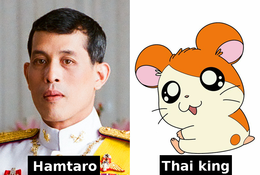 Side by side comparison between Thai king Vajiralongkorn and Hamtaro