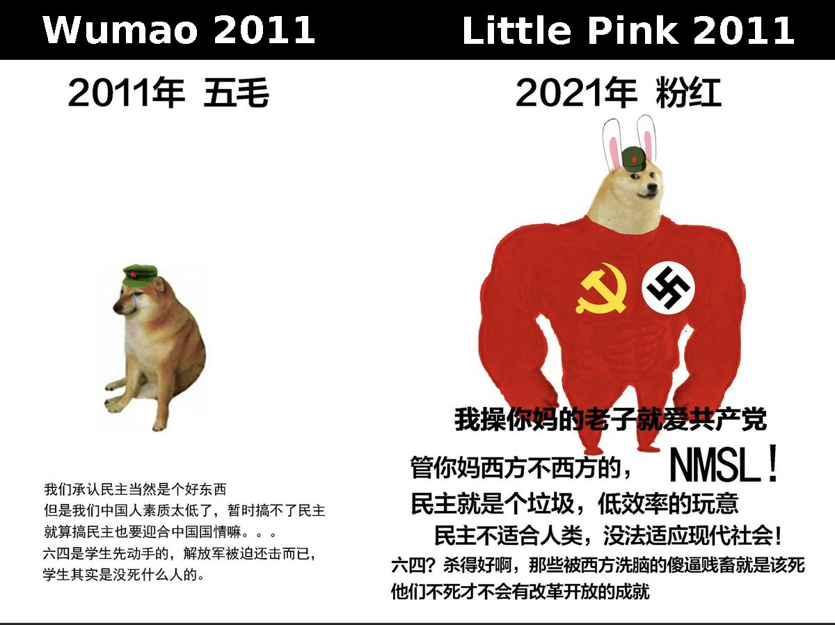 Wumao 2011 vs Little Pink 2021