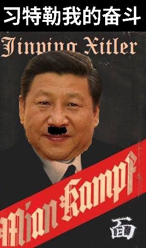 Xi mein kampf