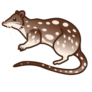 spotted-tail quoll