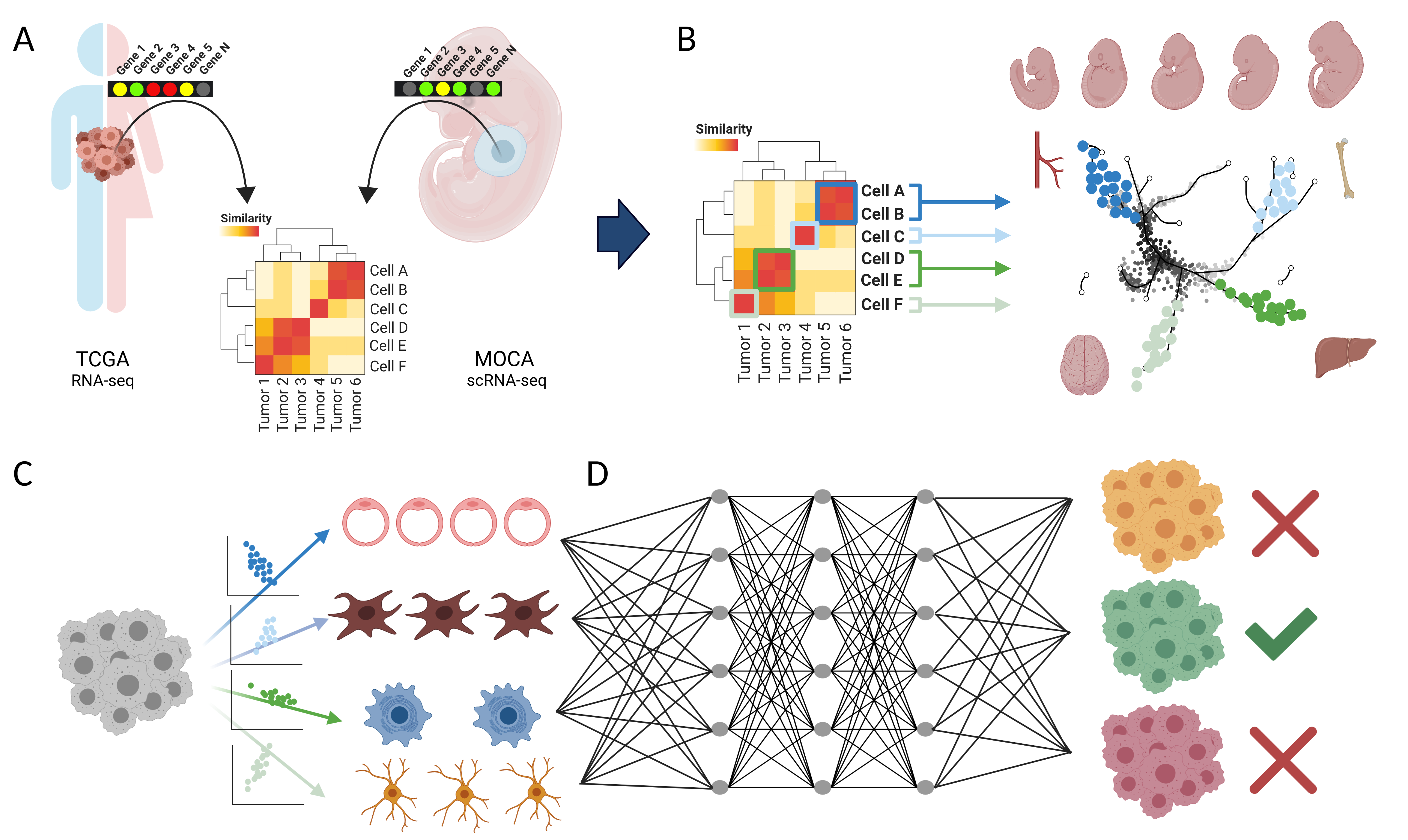 Graphical Abstract