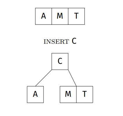 insert c