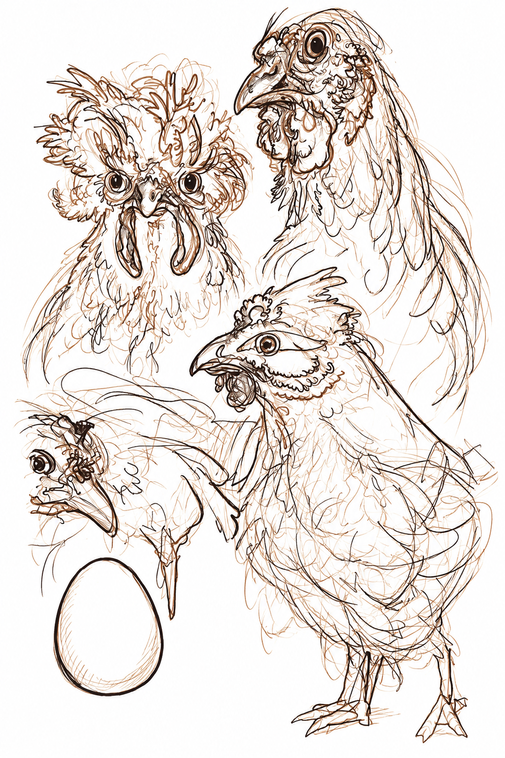 Original chicken illustration by Nathan Yuhas