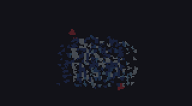 The same flock and hawks in braille dots, as a terminal without a graphics protocol shows it
