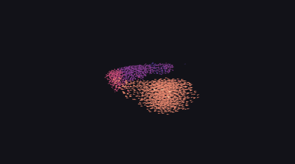 A murmuration of two thousand birds at dusk, in three dimensions: those near the camera large and peach, those far from it small and indigo, and a stream of the nearest sweeps round in front of the camera before the flock folds back into one body