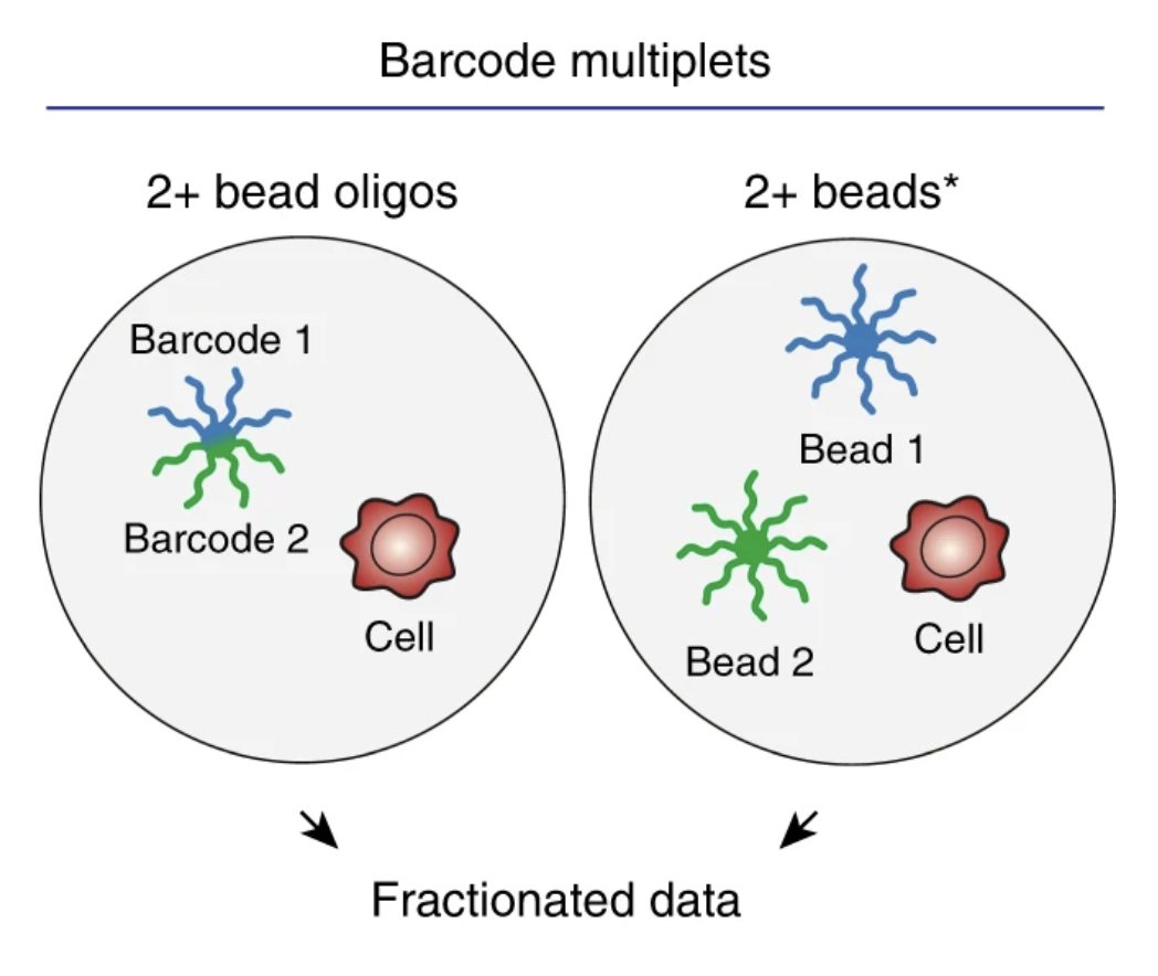 Inference and effects of barcode multiplets in droplet-based single-cell assays