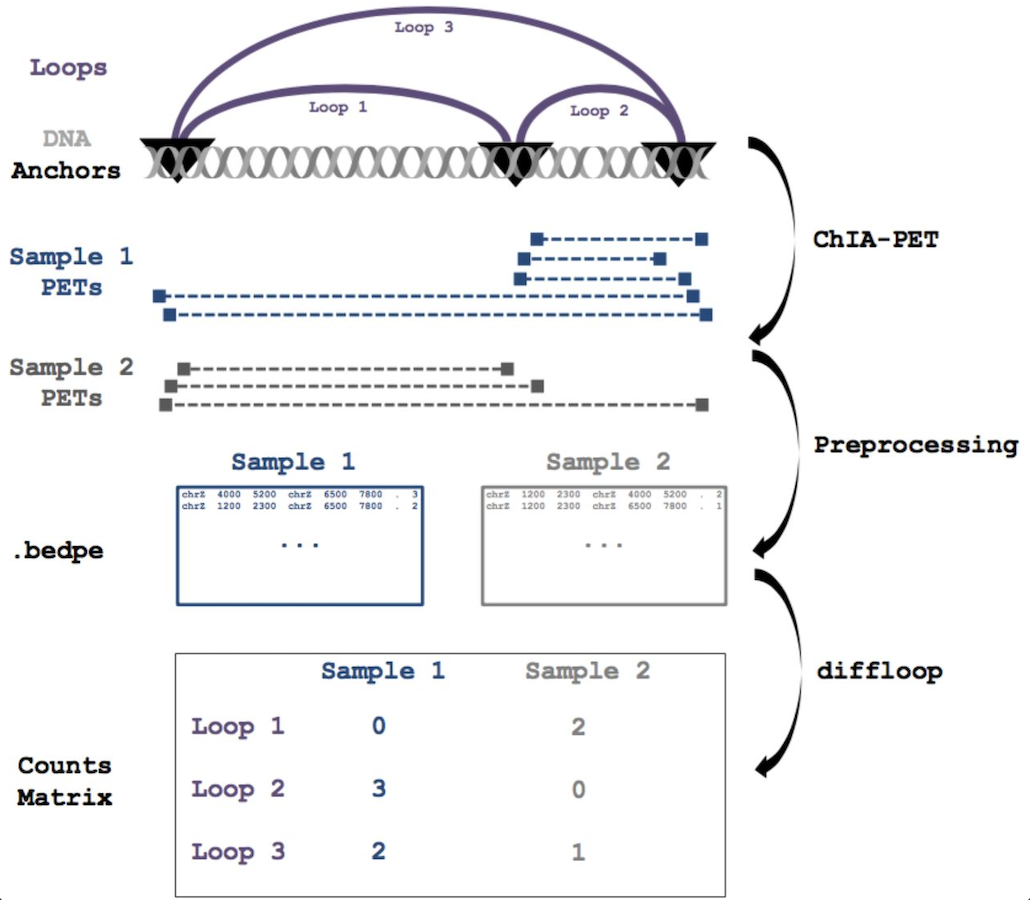 diffloop: a computational framework for identifying and analyzing differential DNA loops from sequencing data