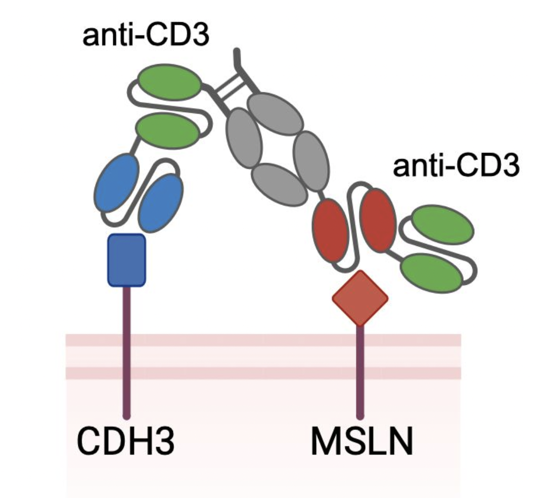 Identifying optimal tumor-associated antigen combinations with single-cell genomics to enable multi-targeting therapies